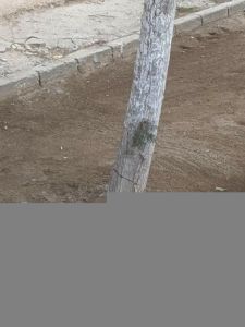 b_400_300_16777215_00_http___teref.az_uploads_posts_2023-01_1674059218_5.jpg
