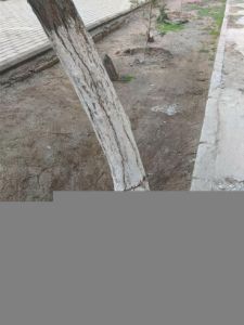 b_400_300_16777215_00_http___teref.az_uploads_posts_2023-01_1674059226_2.jpg