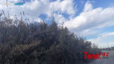 b_400_300_16777215_00_http___teref.az_uploads_posts_2023-02_1675756221_2.jpg