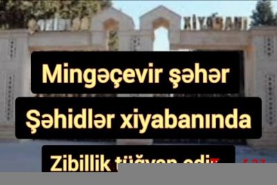 Mingəçevir Şəhidlər xiyabanı zibilxanaya  çevrilib – VİDEO