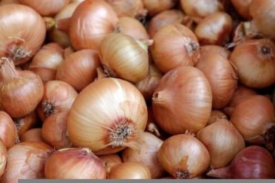 Rusiyada soğanın qiyməti rekord qırdı
