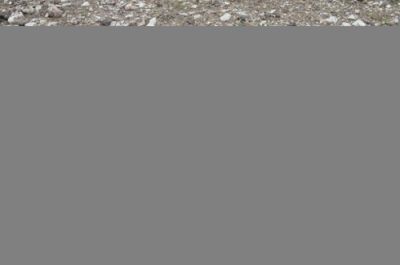 b_400_300_16777215_00_http___teref.az_uploads_posts_2023-09_1695445289_4.jpg