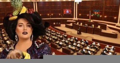 Elza Seyidcahan deputat olmaq istəyir – VİDEO