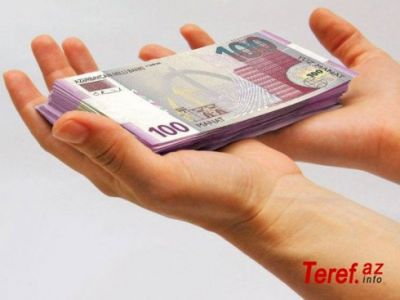 Manatı qorumağa nə qədər vəsait gedib?