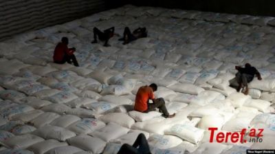 Rusiya yarım milyard dollarlıq Ukrayna buğdası satıb