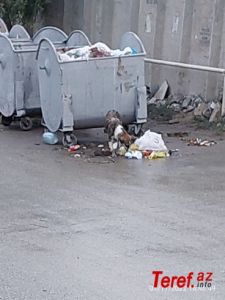b_400_300_16777215_00_https___teref.az_uploads_posts_2022-11_1668656051_3.jpg