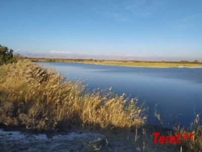 b_400_300_16777215_00_https___teref.az_uploads_posts_2022-11_338d1994-5e79-44cc-a871-ed363f1df2f8.jpg
