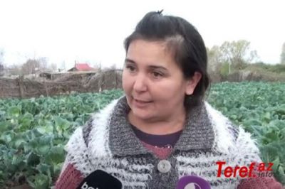 Fermerlər ziyana düşdü -