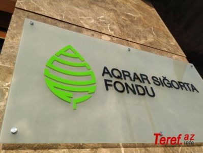 Aqrar Sığorta Fondu KƏNDLİYƏ QƏNİM KƏSİLİB - Görünəni odur ki...