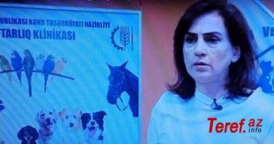 İnstitut direktoru Sialə Rüstəmovanın qlamur həyatı -