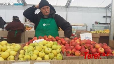 Yarmarkalar “Kənddən Şəhərə” qədər niyə gəlib çıxa bilmir? - AKTUAL