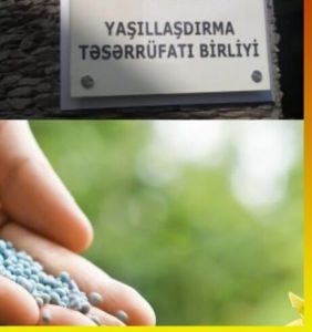 "Yaşıllaşdırma Təsərrüfatı Birliyində yanlış yanaşmanın qarşısı alınmazsa..." -