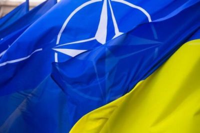 NATO-ya üzvlük əvəzinə 500 milyonluq yardım: