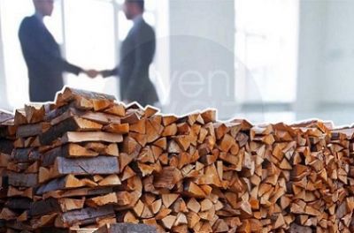 Tender elanından 14 gün əvvəl yaranan şirkət indi də odun satır – Təfərrüat
