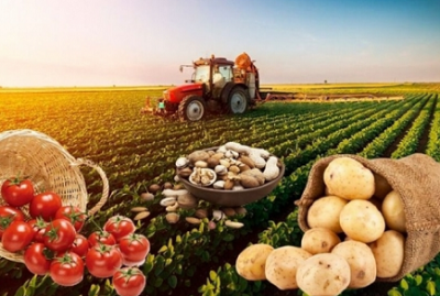 Dövlətin aqrar sektora ayırdığı yüz milyonlar nəticə vermir? -
