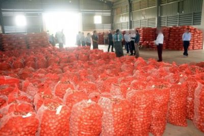 Azərbaycan Ukraynaya soğan göndərə bilər? – Bunun üçün…