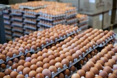 Tariflər Azərbaycandan Amerikaya yumurta ixracını dayandırıb? - AÇIQLAMA