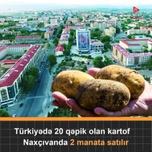 Naxçıvanda vətəndaşa heyvan yemi olan kartofu satırlar... - ETİRAZ VAR...