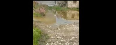 "Hər yeri tullantı suları basıb, iy-qoxudan durmaq olmur" -