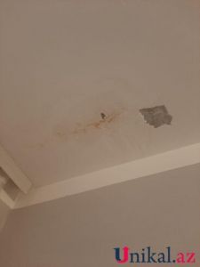b_400_300_16777215_00_https___teref.az_uploads_posts_2025-06_1749055057_2.jpg