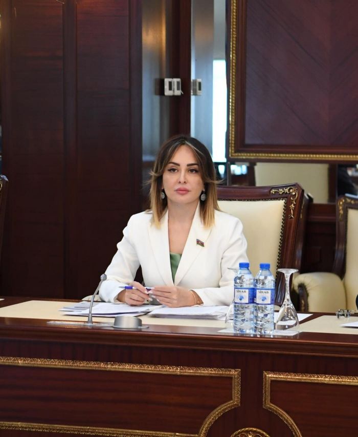 NİGAR DEPUTAT.jpeg (105 KB)